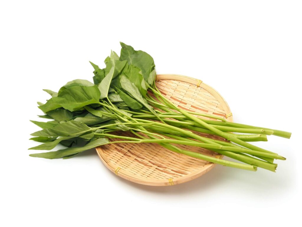 【旬は9月まで！】空芯菜オススメ料理3選