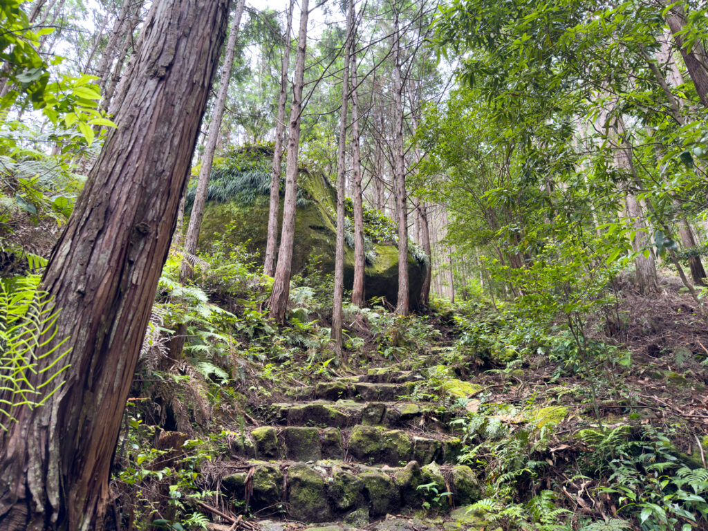 軽登山をしてきました!