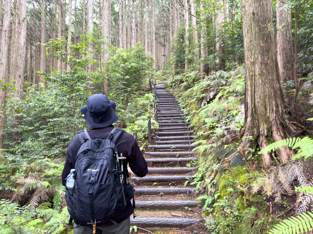 軽登山をしてきました!