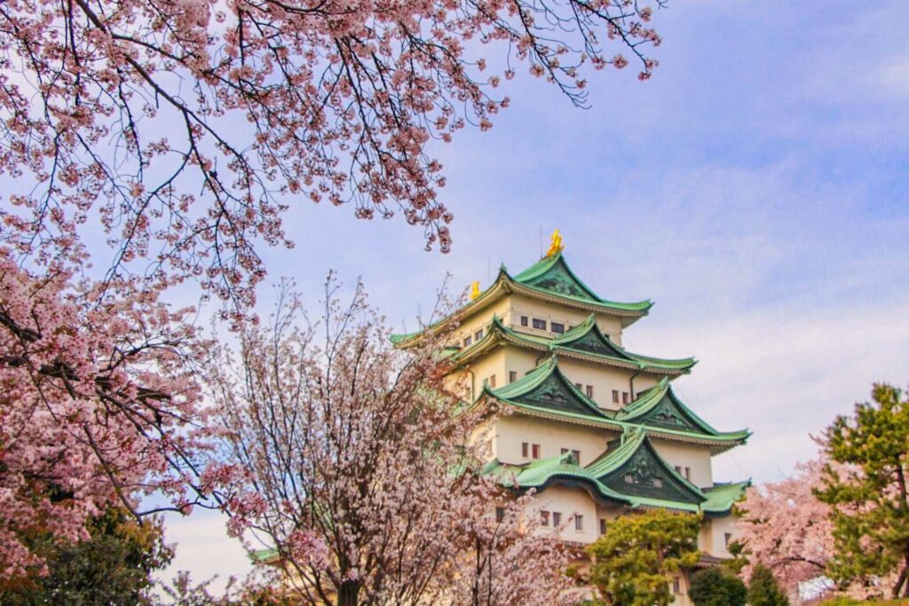 4月のおすすめ撮影スポット3選