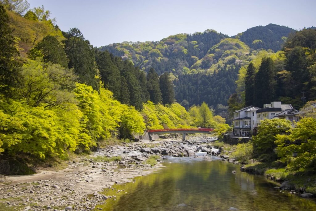 4月のおすすめ撮影スポット3選