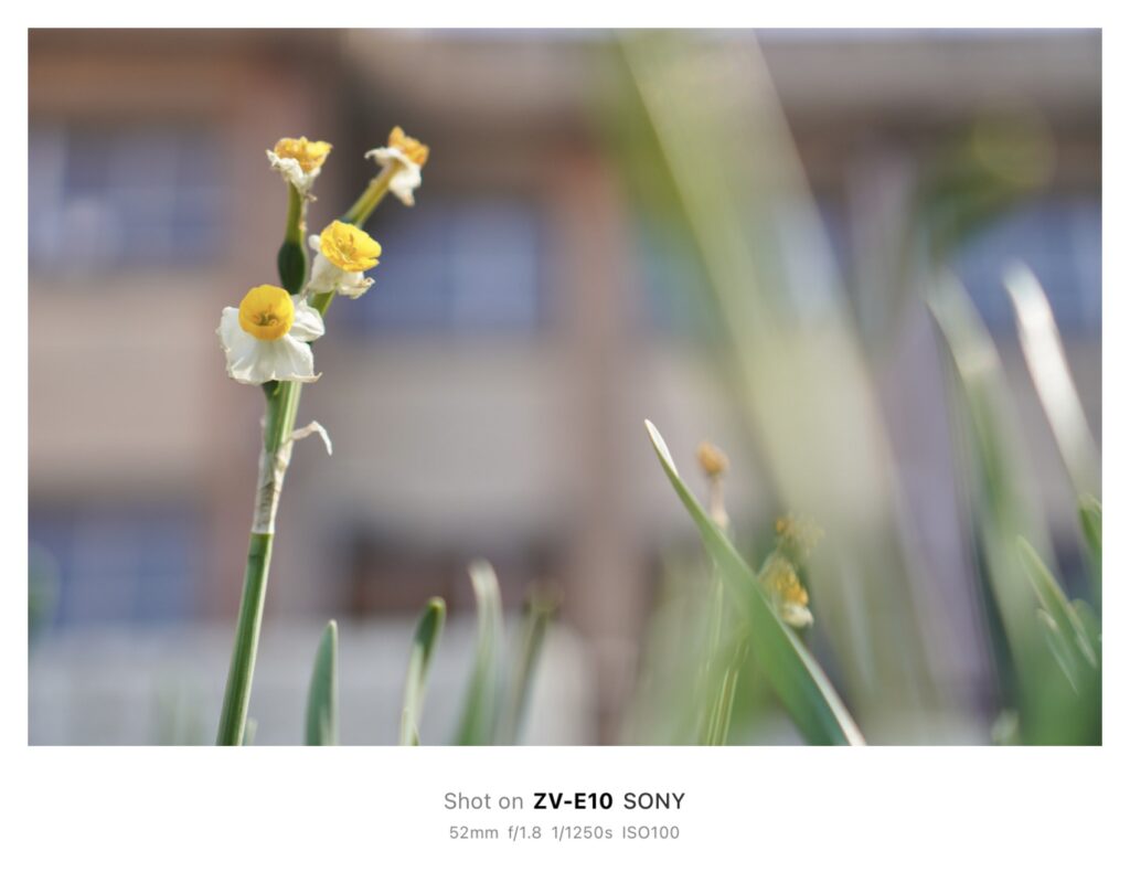 一眼で“無限写ルンです”！？＜後編＞