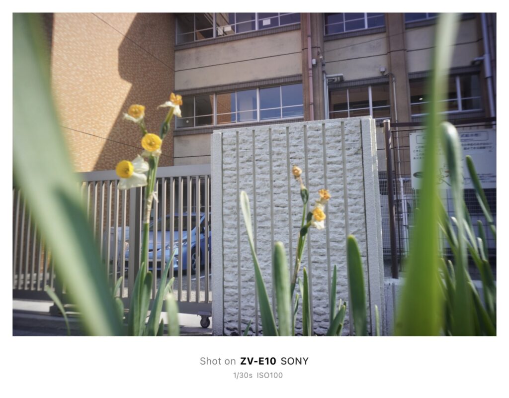 一眼で“無限写ルンです”！？＜後編＞