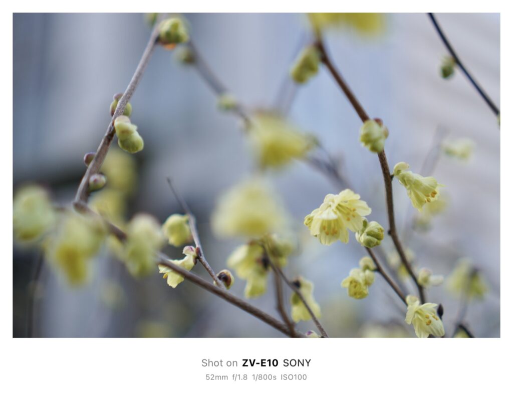 一眼で“無限写ルンです”！？＜後編＞