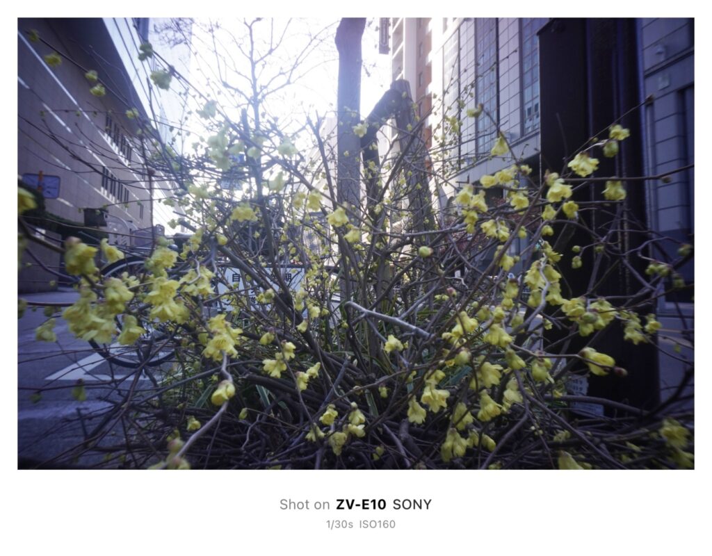 一眼で“無限写ルンです”！？＜後編＞