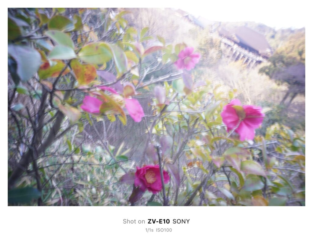 一眼で“無限写ルンです”！？＜後編＞