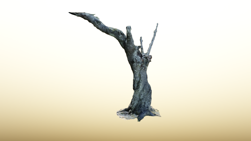 【blender】geometry node のレンダリング方法について紹介！