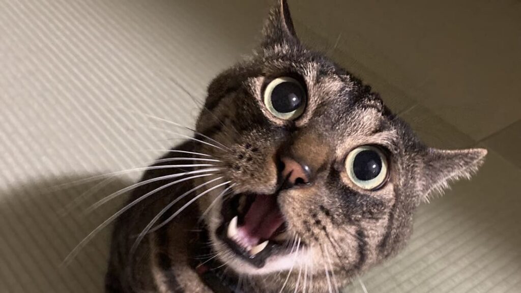 今日から使える！「テレビ業界用語」５選