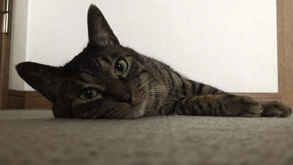 今日から使える！「テレビ業界用語」５選