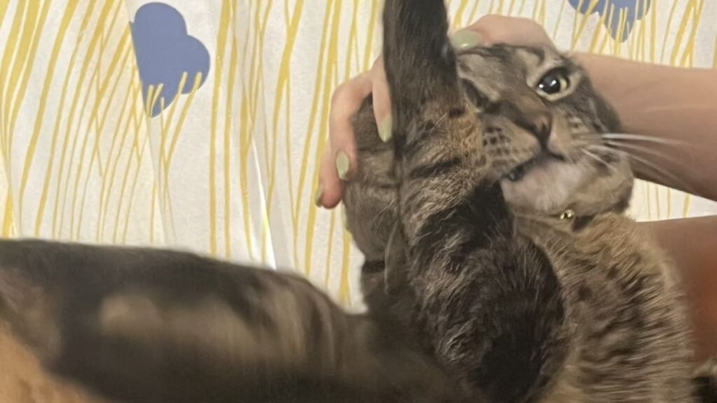 今日から使える！「テレビ業界用語」５選