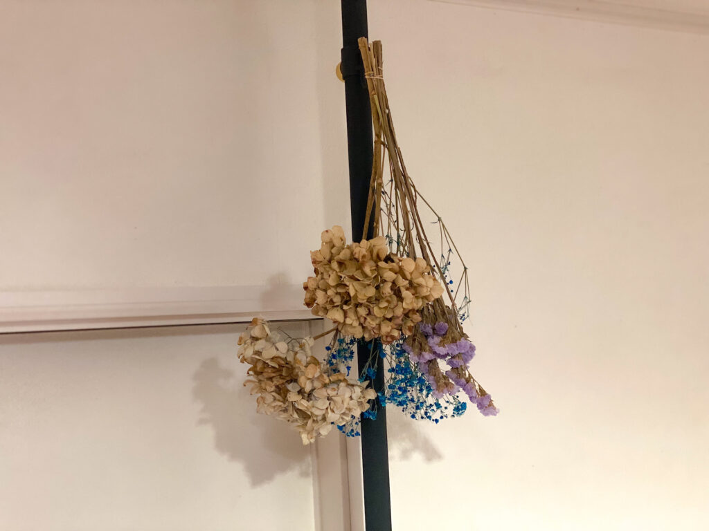 部屋の模様替えをして、植物と香りを導入しました