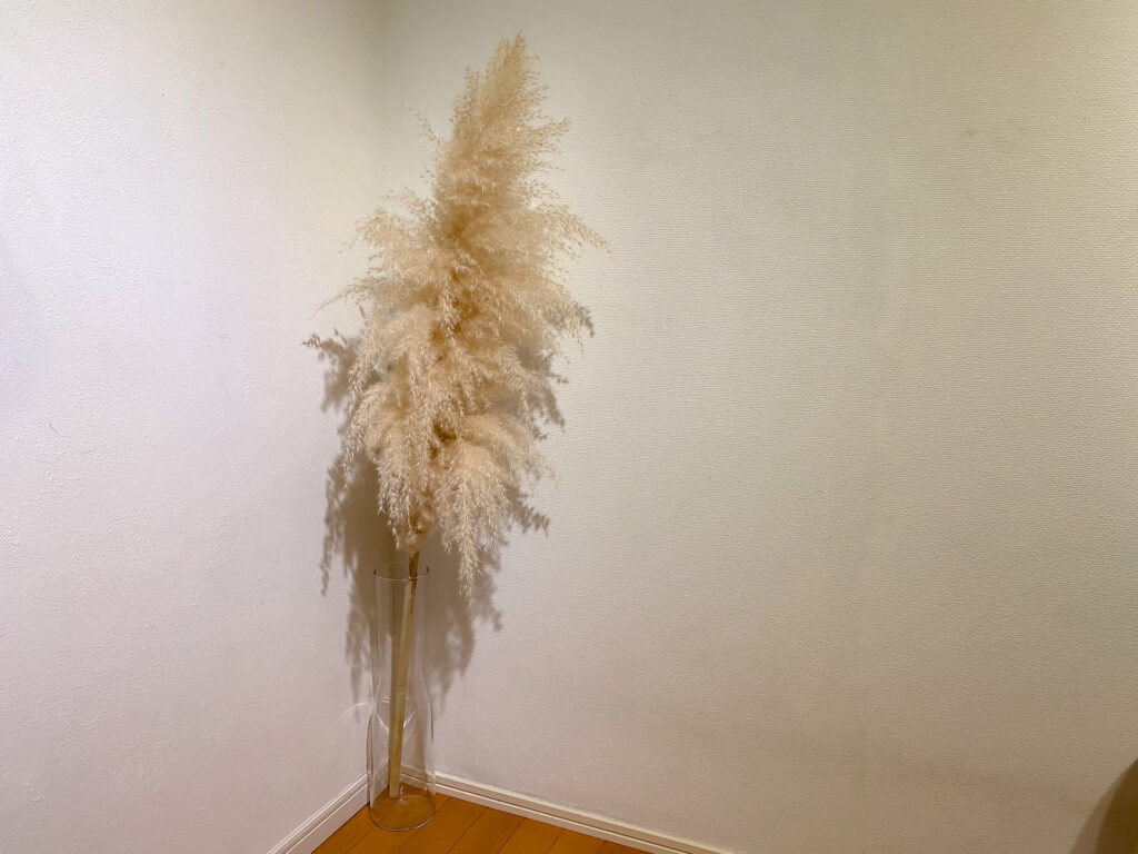 部屋の模様替えをして、植物と香りを導入しました