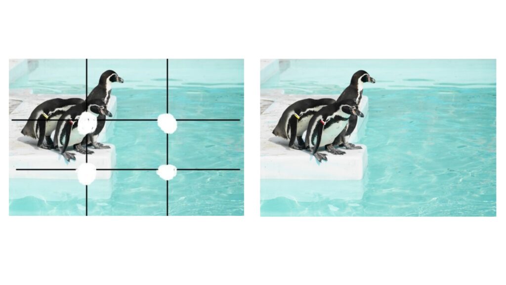 写真撮影の構図３選