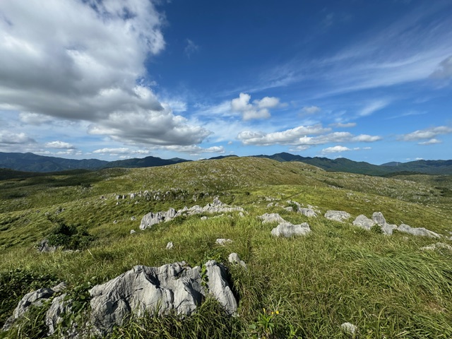 秋吉台と秋芳洞へ行ってきました！