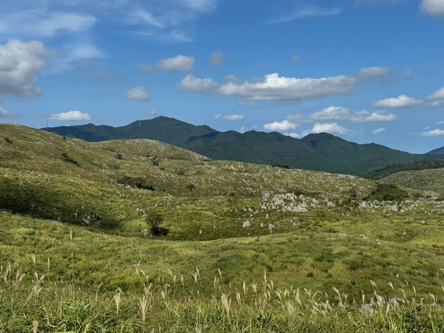 秋吉台と秋芳洞へ行ってきました！