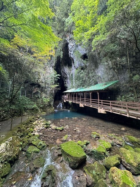 秋吉台と秋芳洞へ行ってきました！