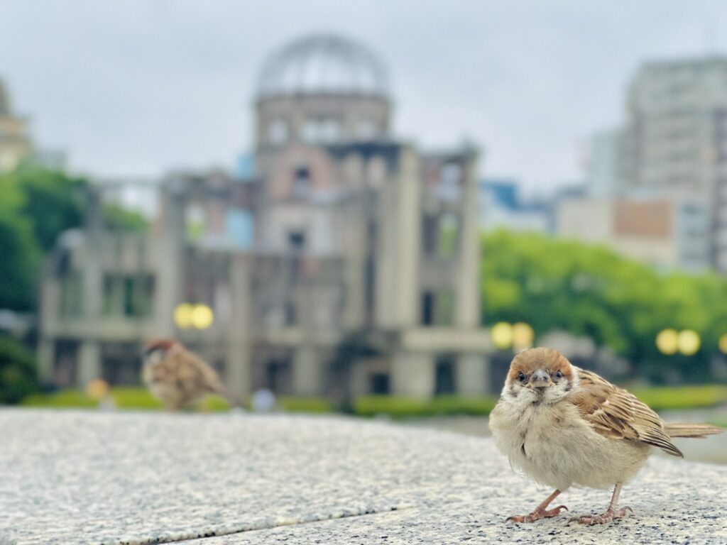 出張～広島編～