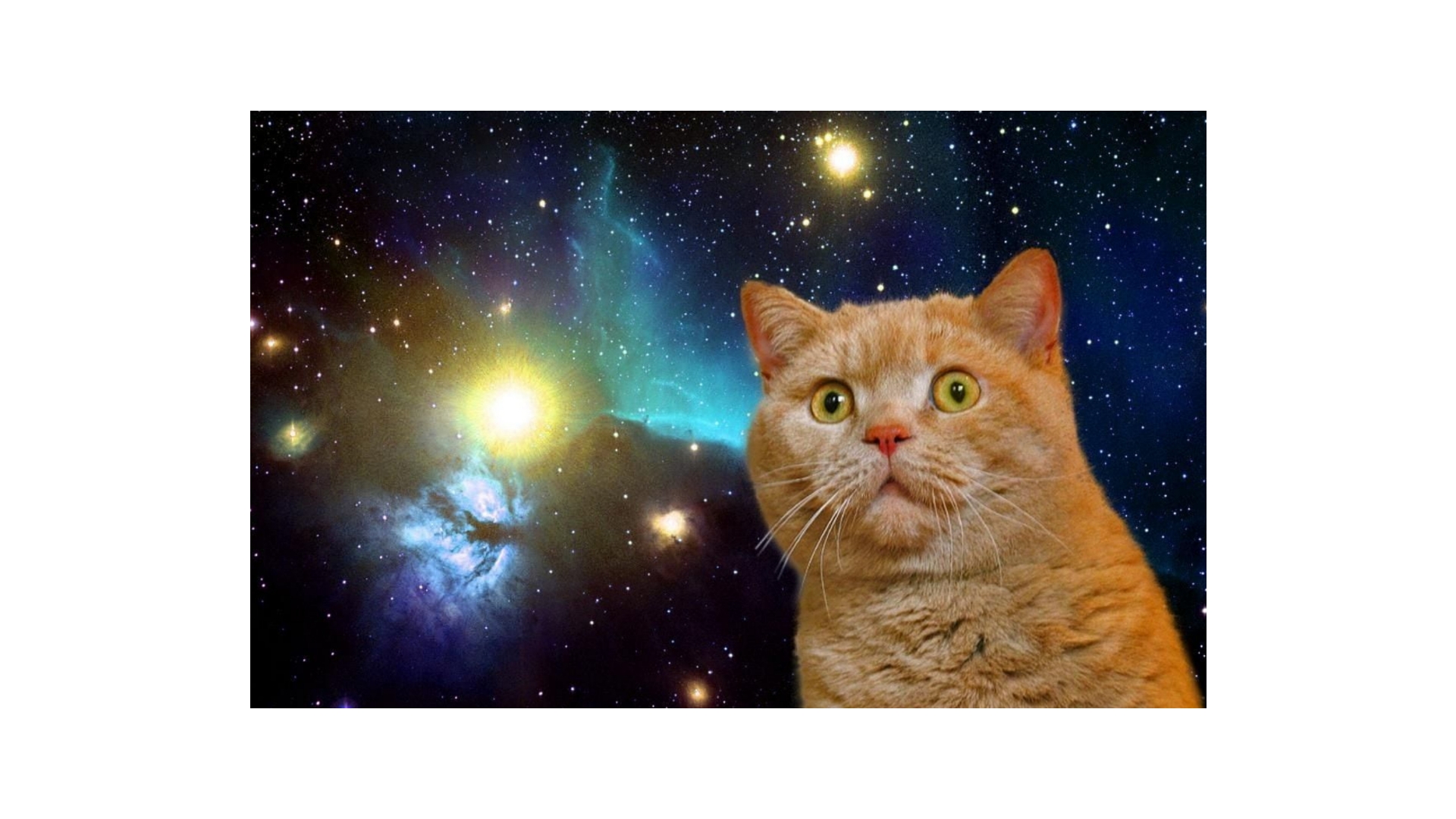 インターネット・ミームとは？