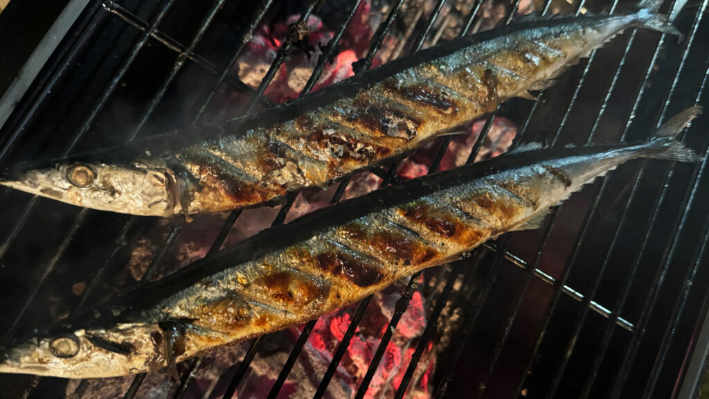 ところで魚は何派？