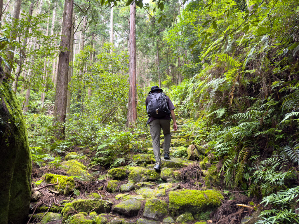 軽登山をしてきました!