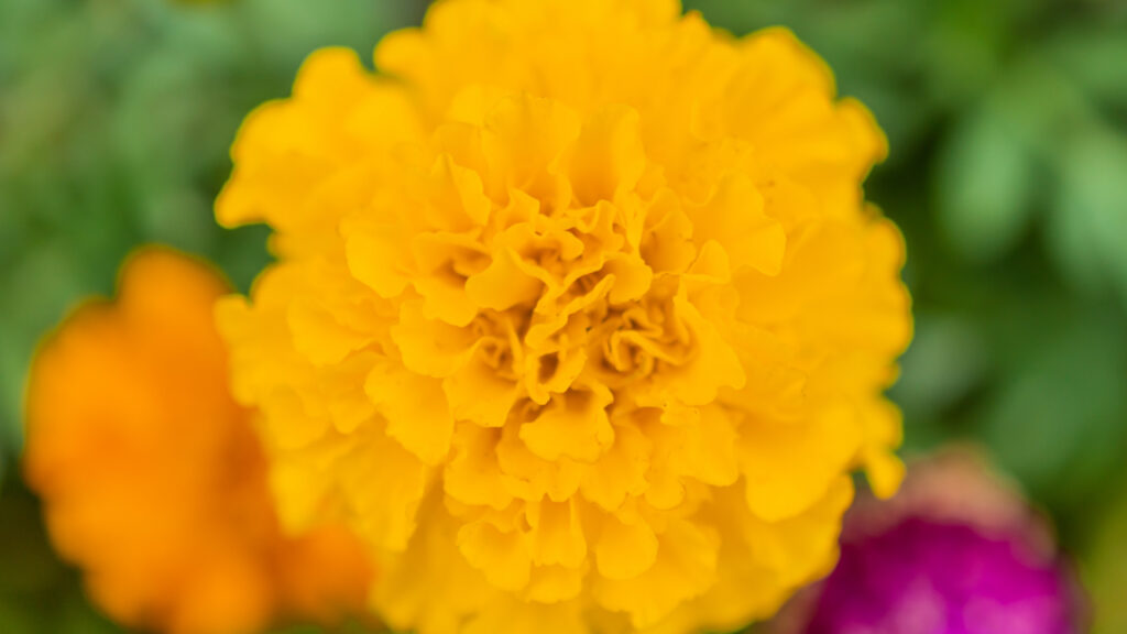 【初心者】撮影する前に覚えておきたい！ADおすすめの３つの基本の構図