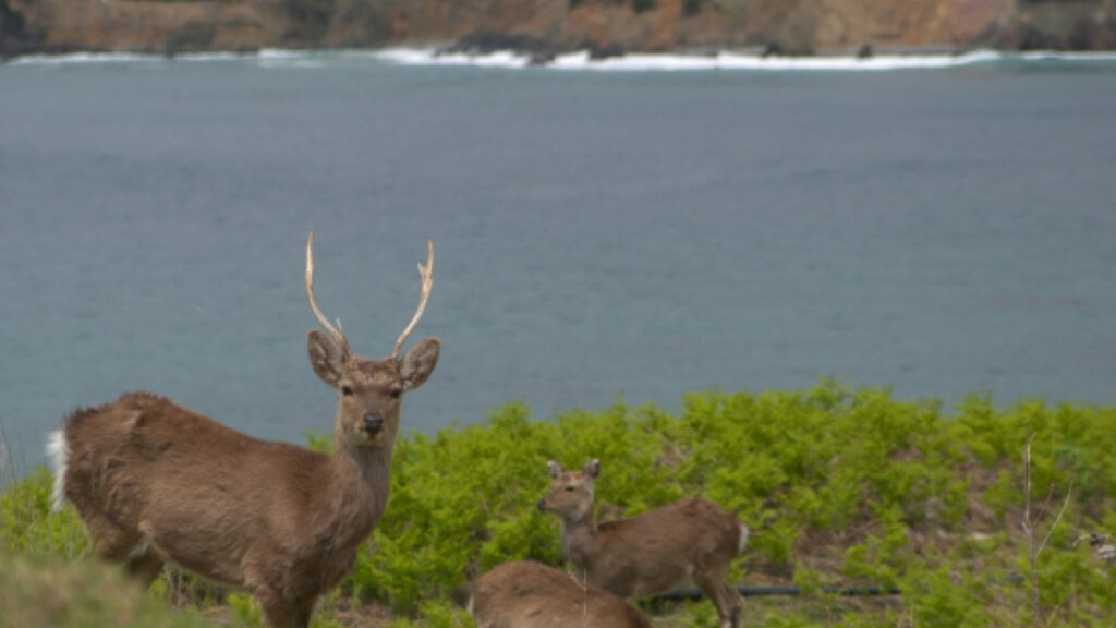 【初心者】撮影する前に覚えておきたい！ADおすすめの３つの基本の構図