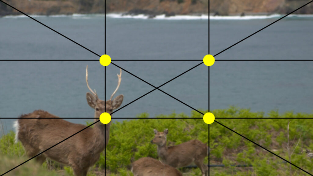 【初心者】撮影する前に覚えておきたい！ADおすすめの３つの基本の構図