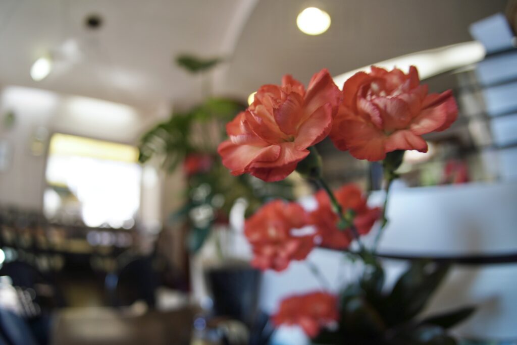 魚眼レンズを使いこなそう♪＜後編＞