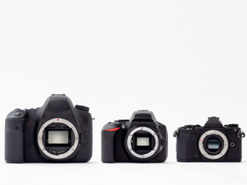 ミラーレス一眼とマイクロ一眼。２つのカメラはどう違うの？