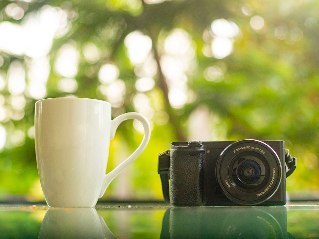 ミラーレス一眼とマイクロ一眼。２つのカメラはどう違うの？