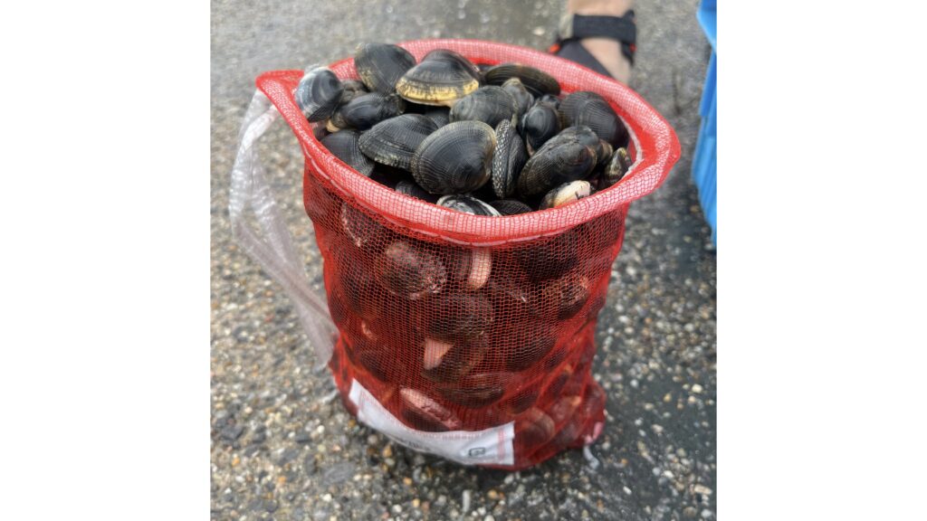 【潮干狩り】たくさんとるコツ