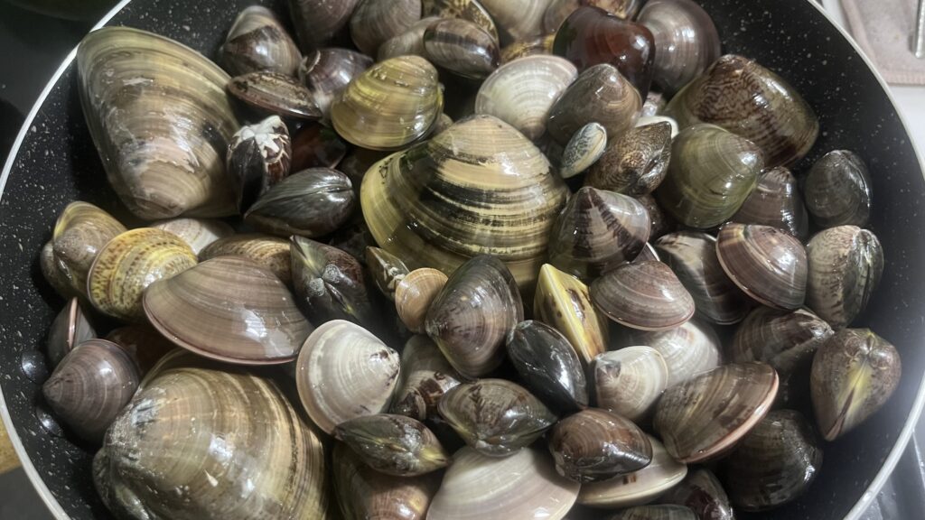 【潮干狩り】たくさんとるコツ