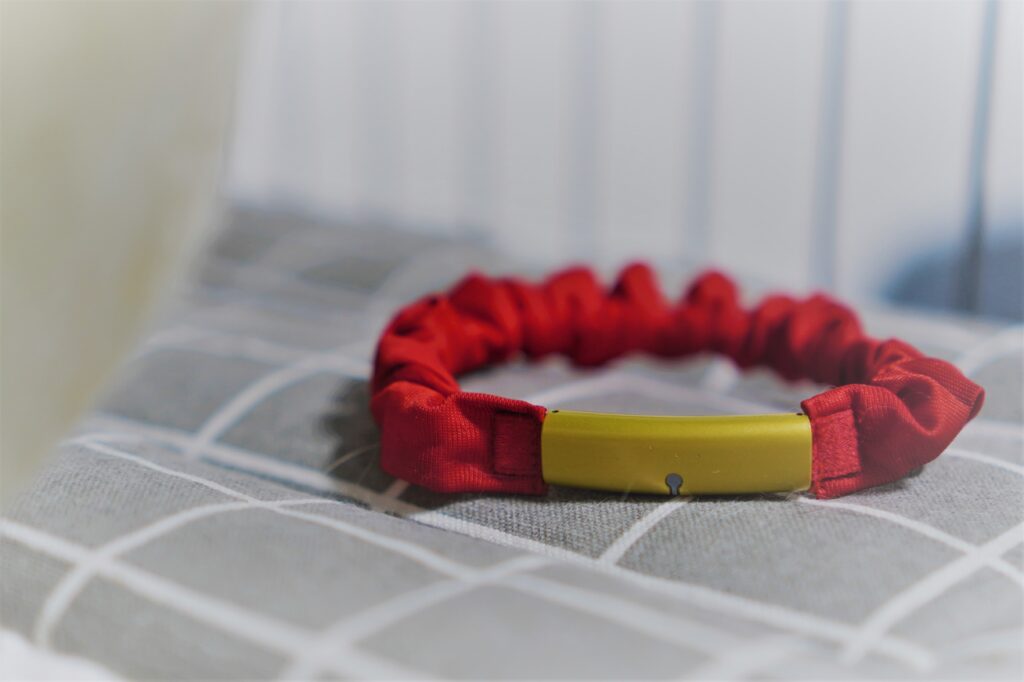 おとなの保護猫をお迎えしました④買って良かったもの編