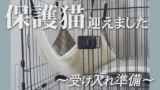 おとなの保護猫をお迎えしました④買って良かったもの編