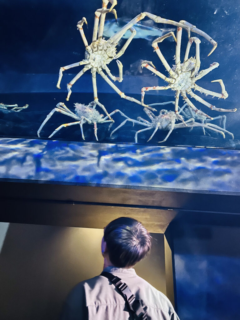 竹島水族館に行ってみた！