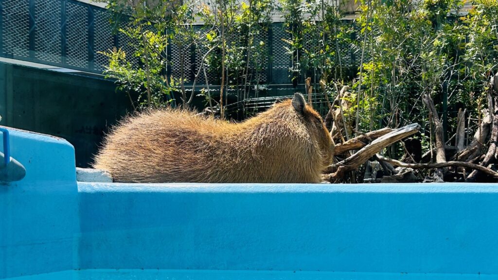 竹島水族館に行ってみた！