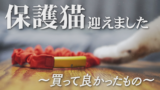 おとなの保護猫をお迎えしました⑤買って良かったもの編２