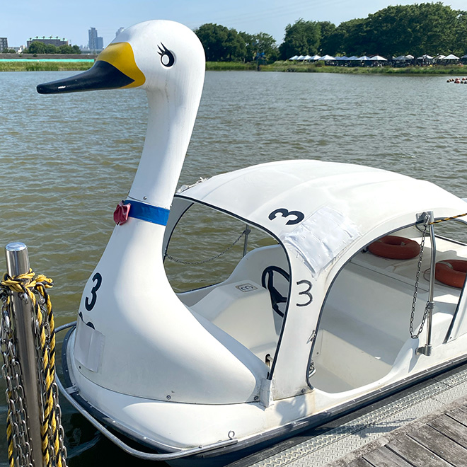 ピクニックに行ってきた ! 2