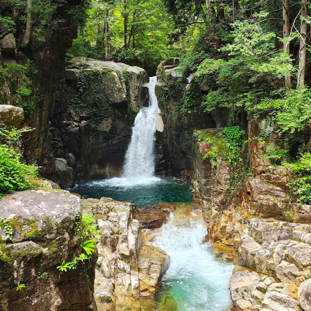 猛暑から逃げよう