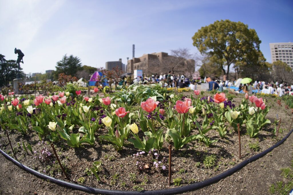 魚眼レンズを使いこなそう♪＜前編＞