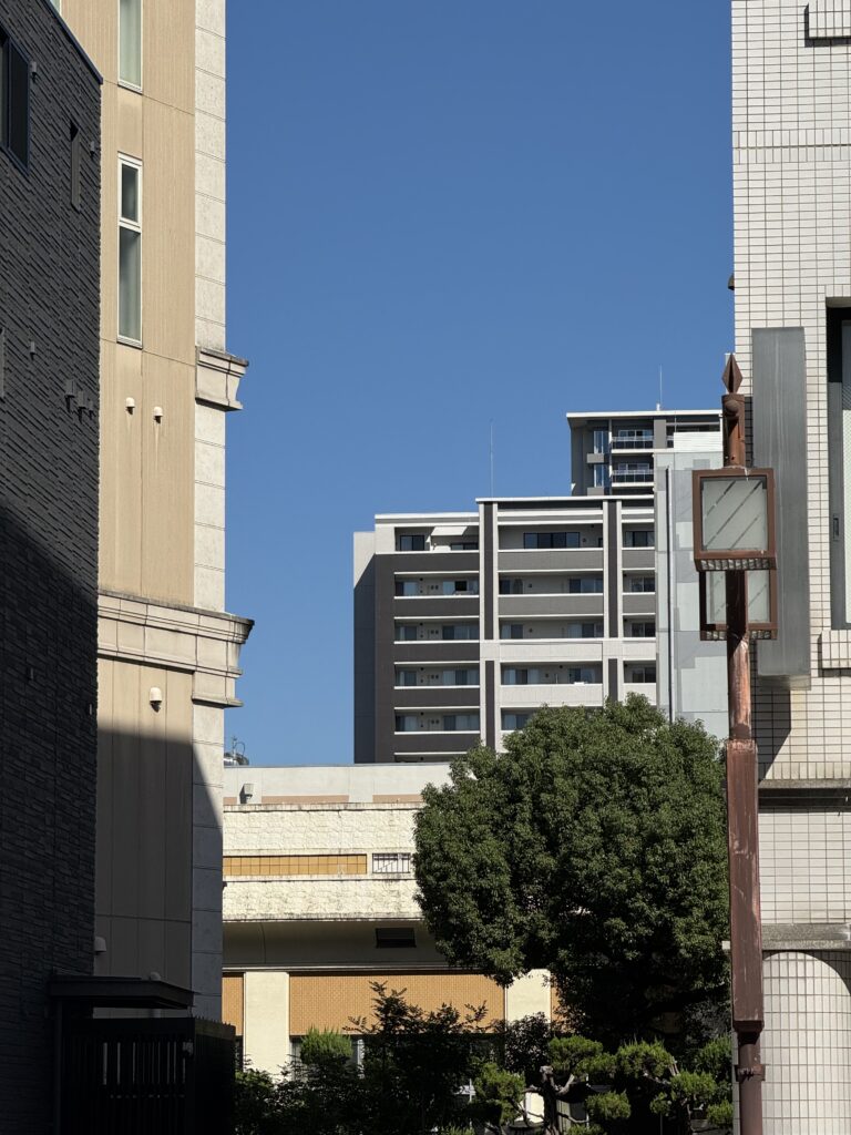 なんかいい景色