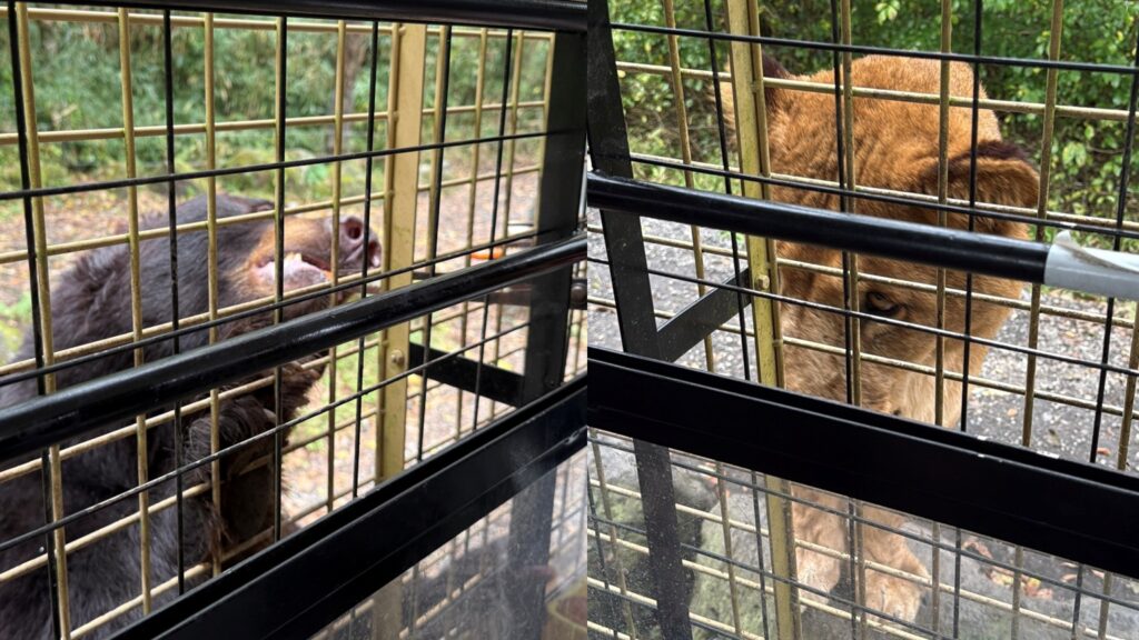 近すぎちゃってどうしよう