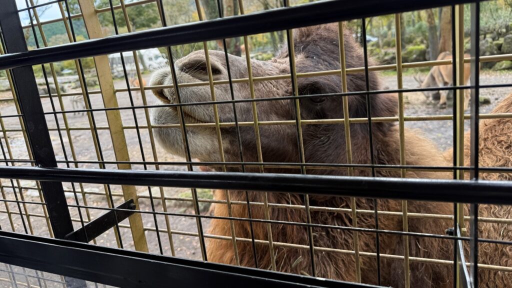 近すぎちゃってどうしよう