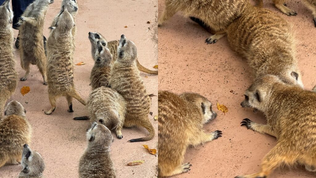 近すぎちゃってどうしよう