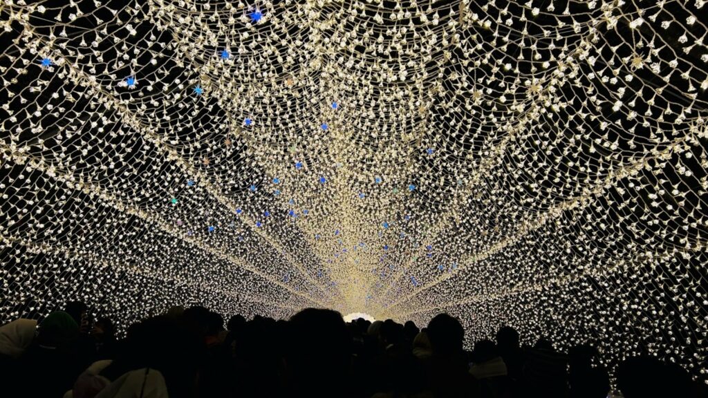 イルミのアルバム、開いてみた