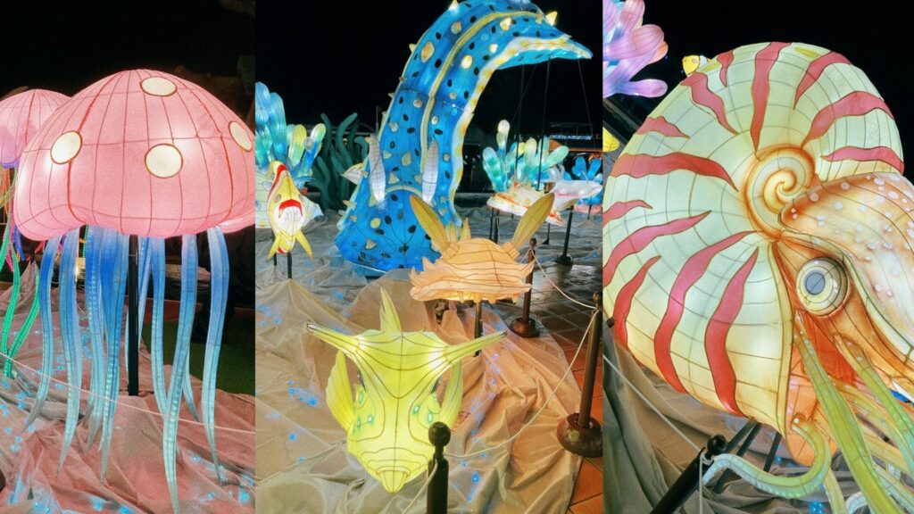 イルミのアルバム、開いてみた