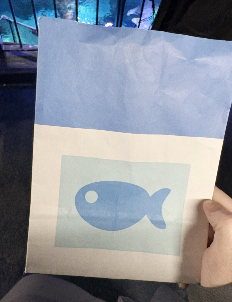 海の生きものに会ってきた！