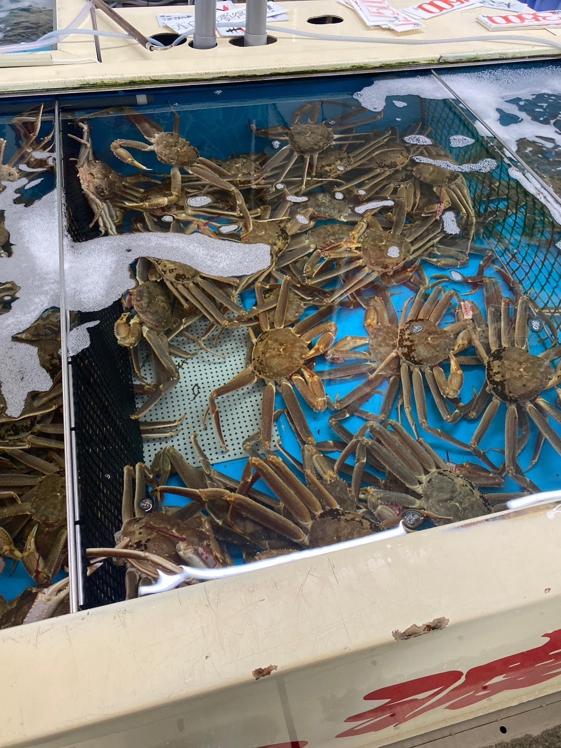 ADがおススメする観光スポット（鳥取編）